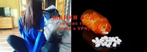 индика Аркадак