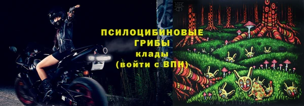 индика Аркадак