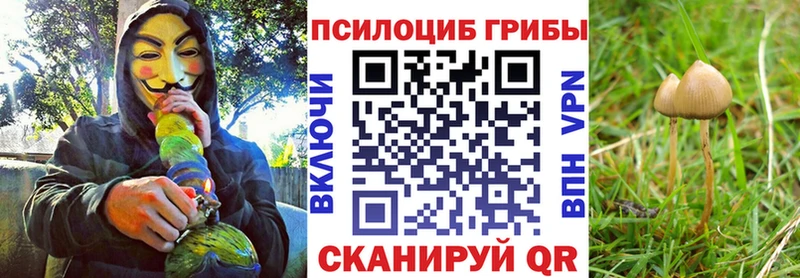 Псилоцибиновые грибы GOLDEN TEACHER  Ветлуга 